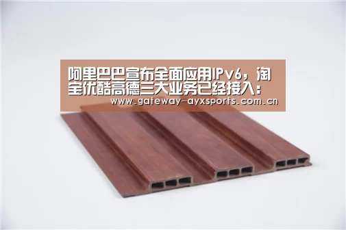 阿里巴巴宣布全面应用IPv6,淘宝优酷高德三大业务已经接入:体育赛事直播(图1) 爱游戏官方入口