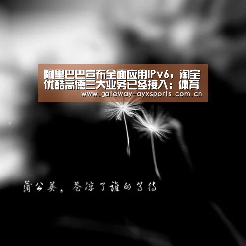 阿里巴巴宣布全面应用IPv6,淘宝优酷高德三大业务已经接入:体育赛事直播(图2) 阿里巴巴宣布全面应用IPv6,淘宝优酷高德三大业务已经接入:体育赛事直播(图2)