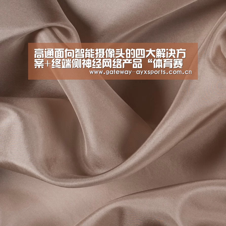 高通面向智能摄像头的四大解决方案+终端侧神经网络产品“体育赛事直播”(图4) 高通面向智能摄像头的四大解决方案+终端侧神经网络产品“体育赛事直播”(图4)