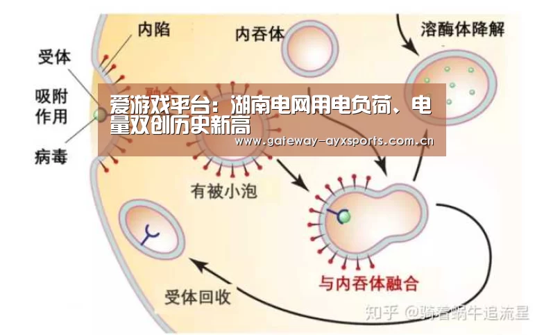 爱游戏平台:湖南电网用电负荷、电量双创历史新高(图1) 爱游戏平台
