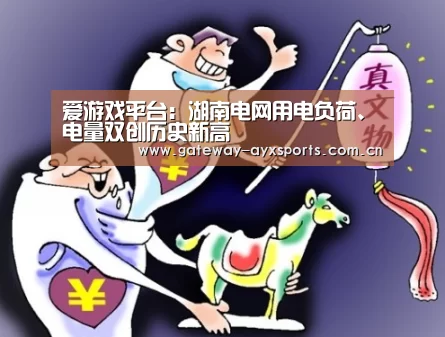 爱游戏平台:湖南电网用电负荷、电量双创历史新高(图2) 体育赛事直播