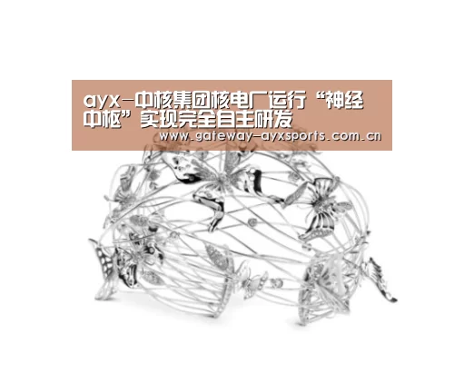 ayx-中核集团核电厂运行“神经中枢”实现完全自主研发(图1) ayx-中核集团核电厂运行“神经中枢”实现完全自主研发(图1)