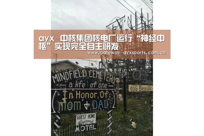 ayx-中核集团核电厂运行“神经中枢”实现完全自主研发(图4) 爱游戏官方入口