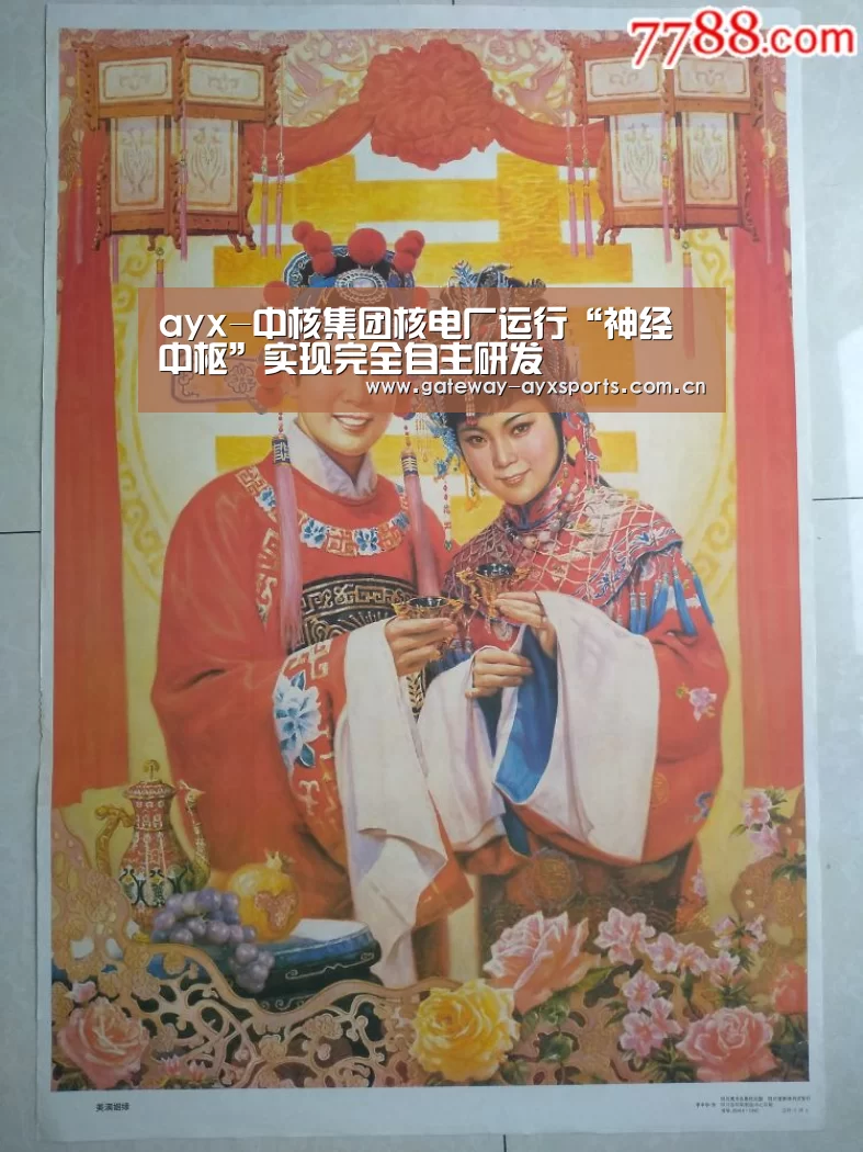 ayx-中核集团核电厂运行“神经中枢”实现完全自主研发(图3) 爱游戏平台