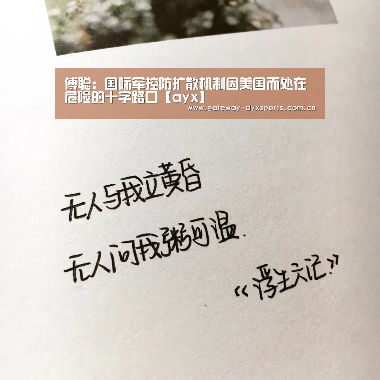 傅聪:国际军控防扩散机制因美国而处在危险的十字路口【ayx】(图2) 爱游戏平台